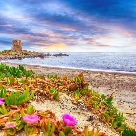 Paradise Sea Breeze *