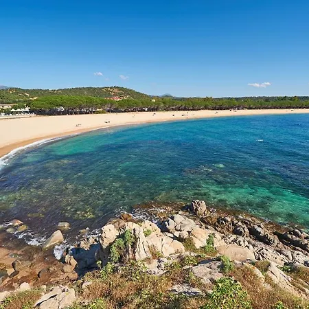 Paradise Sea Breeze * Àrbatax