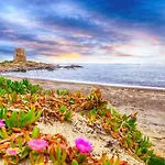 Paradise Sea Breeze *
