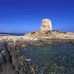 Paradise Sea Breeze Àrbatax