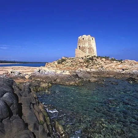 Paradise Sea Breeze Àrbatax